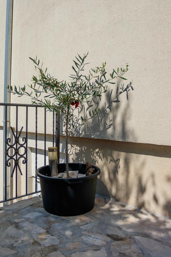 טיווט Apartmani Petar מראה חיצוני תמונה